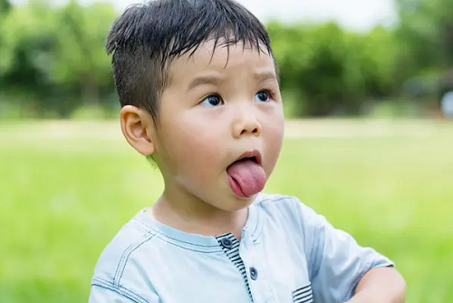狗年独一无二的名字男孩 狗宝宝男孩取名大全2022款
